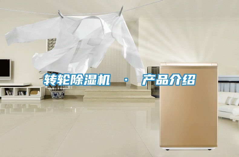 亚洲乱码一区二区三区 转轮除湿机 · 产品介绍
