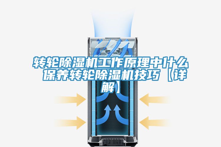亚洲欧美一级特黄大片 转轮除湿机工作原理中什么 保养转轮除湿机技巧【详解】