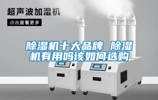 亚洲乱码一区二区三区 除湿机十大品牌 除湿机有用吗该如何选购