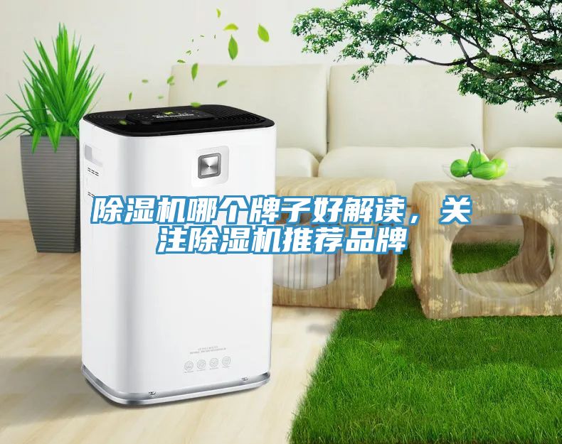 亚洲欧美一级特黄大片 除湿机哪个牌子好解读，关注除湿机推荐品牌