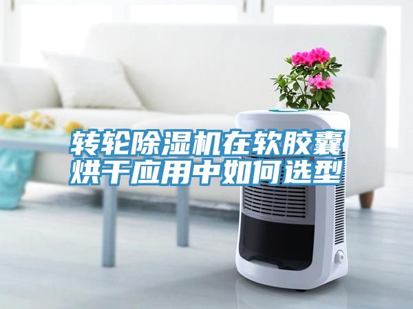 亚洲乱码一区二区三区 转轮除湿机在软胶囊烘干应用中如何选型