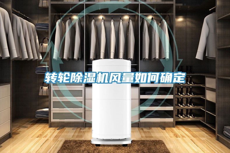 亚洲人成综合第一网站 转轮除湿机风量如何确定