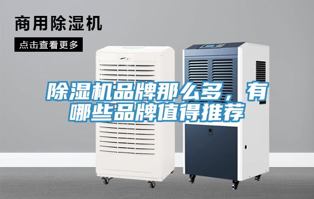 亚洲乱码一区二区三区 除湿机品牌那么多，有哪些品牌值得推荐