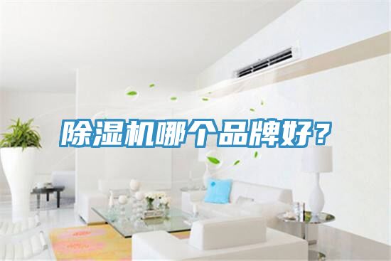 亚洲人成综合第一网站 除湿机哪个品牌好？
