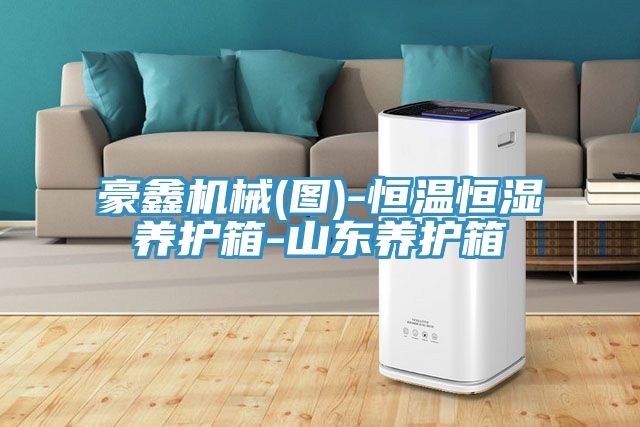 亚洲欧美一级特黄大片 豪鑫机械(图)-恒温恒湿养护箱-山东养护箱