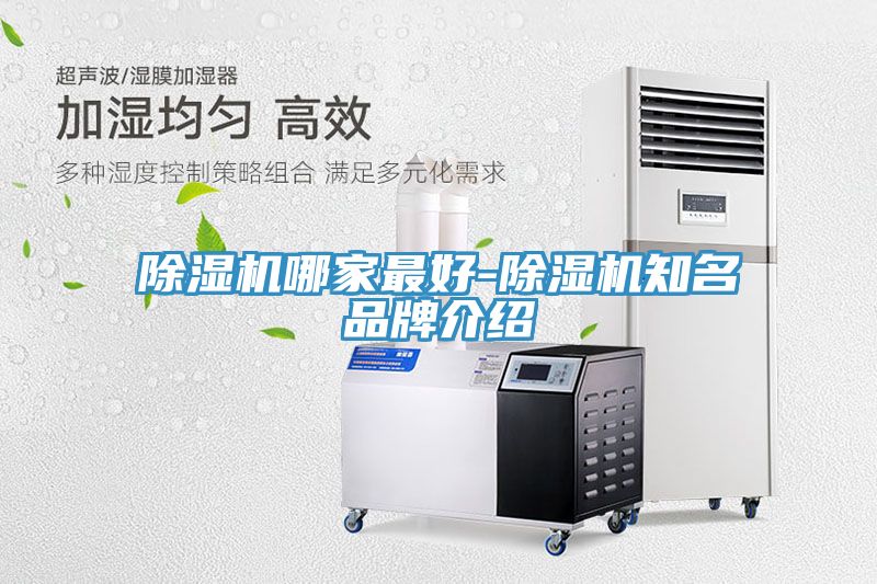 亚洲欧美一级特黄大片 除湿机哪家最好-除湿机知名品牌介绍