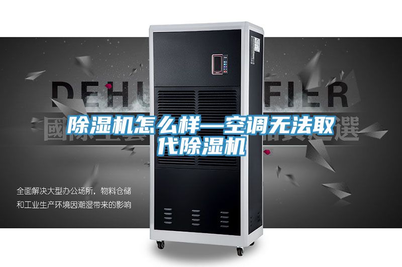 亚洲人成综合第一网站 除湿机怎么样—空调无法取代除湿机