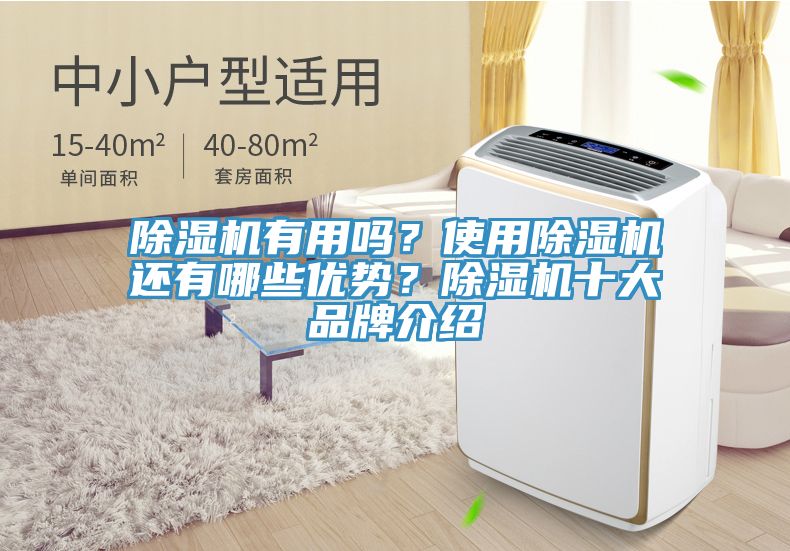 亚洲欧美一级特黄大片 除湿机有用吗？使用除湿机还有哪些优势？除湿机十大品牌介绍