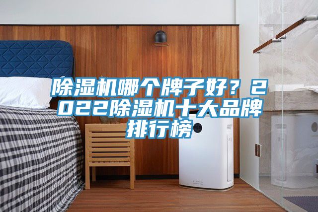 亚洲人成综合第一网站 除湿机哪个牌子好？2022除湿机十大品牌排行榜