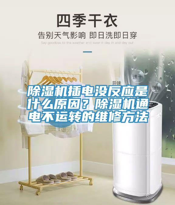 亚洲乱码一区二区三区 除湿机插电没反应是什么原因？除湿机通电不运转的维修方法