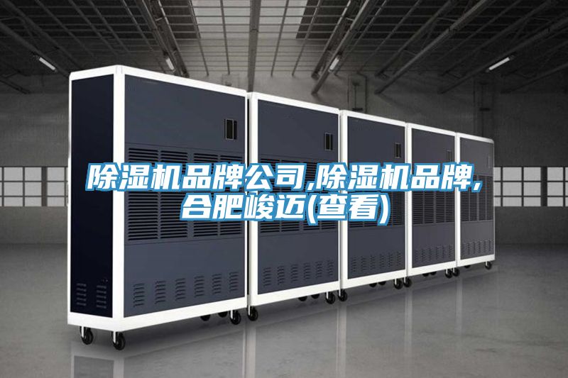 亚洲乱码一区二区三区 除湿机品牌公司,除湿机品牌,合肥峻迈(查看)