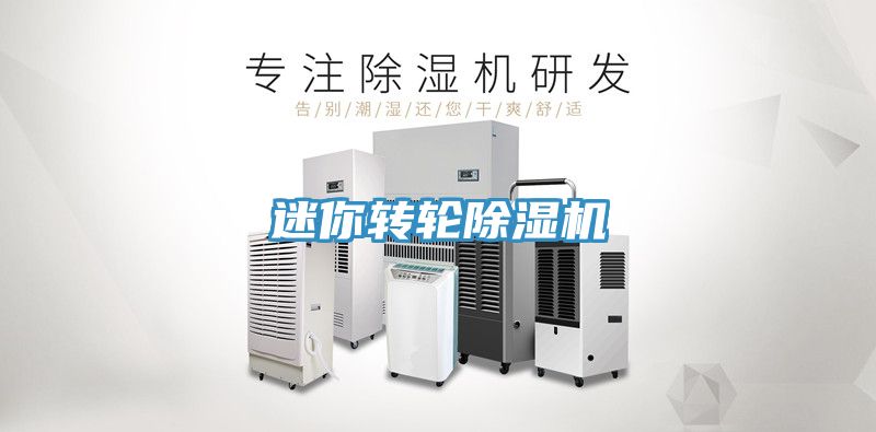 亚洲人成综合第一网站 迷你转轮除湿机