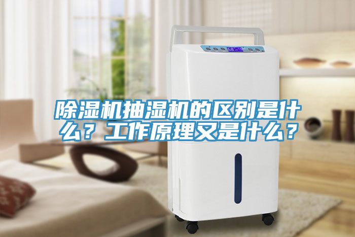 亚洲欧美一级特黄大片 除湿机抽湿机的区别是什么？工作原理又是什么？