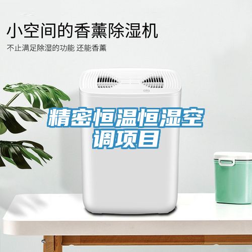 亚洲人成综合第一网站 精密恒温恒湿空调项目