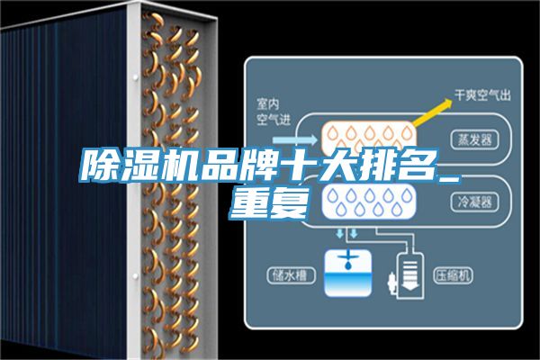 亚洲人成综合第一网站 除湿机品牌十大排名_重复