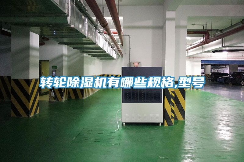 亚洲人成综合第一网站 转轮除湿机有哪些规格,型号