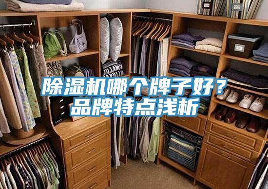 亚洲欧美一级特黄大片 除湿机哪个牌子好？品牌特点浅析