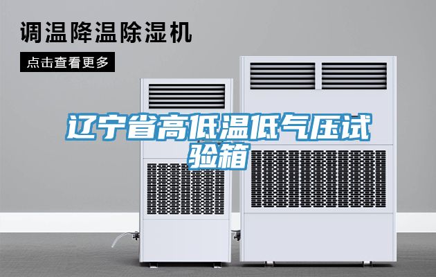 亚洲人成综合第一网站 辽宁省高低温低气压试验箱