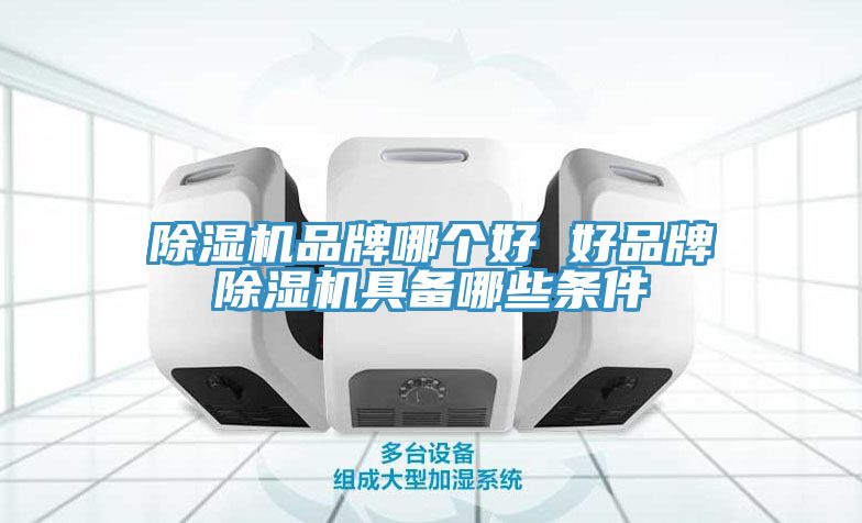 亚洲人成综合第一网站 除湿机品牌哪个好 好品牌除湿机具备哪些条件