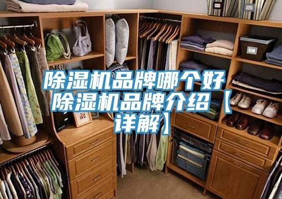 亚洲人成综合第一网站 除湿机品牌哪个好 除湿机品牌介绍【详解】