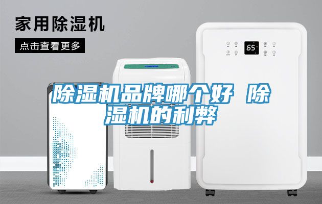 亚洲乱码一区二区三区 除湿机品牌哪个好 除湿机的利弊