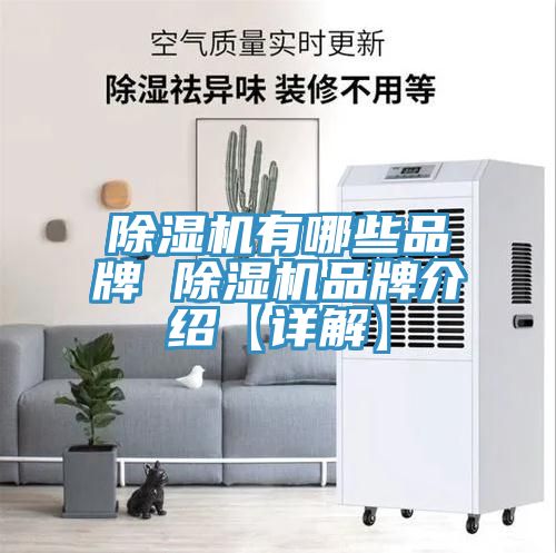 亚洲乱码一区二区三区 除湿机有哪些品牌 除湿机品牌介绍【详解】