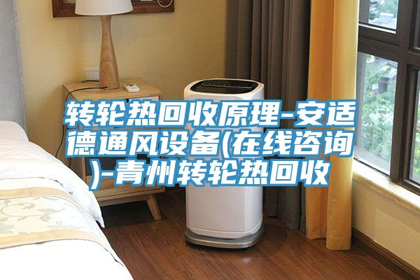 亚洲欧美一级特黄大片 转轮热回收原理-安适德通风设备(在线咨询)-青州转轮热回收