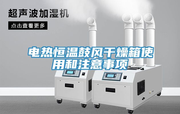 亚洲欧美一级特黄大片 电热恒温鼓风干燥箱使用和注意事项