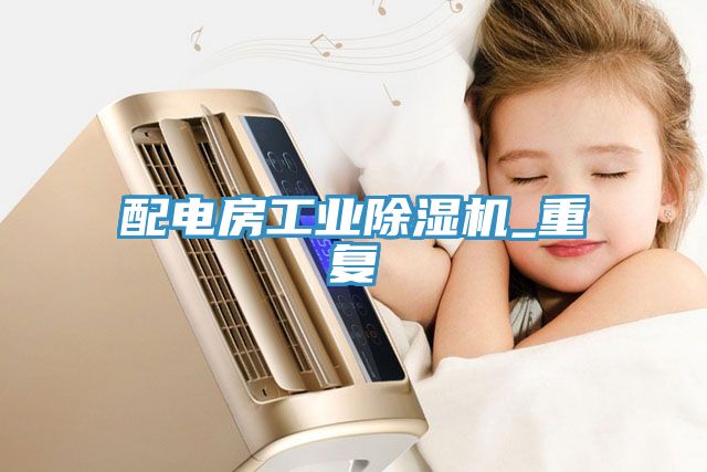 亚洲人成综合第一网站 配电房工业除湿机_重复
