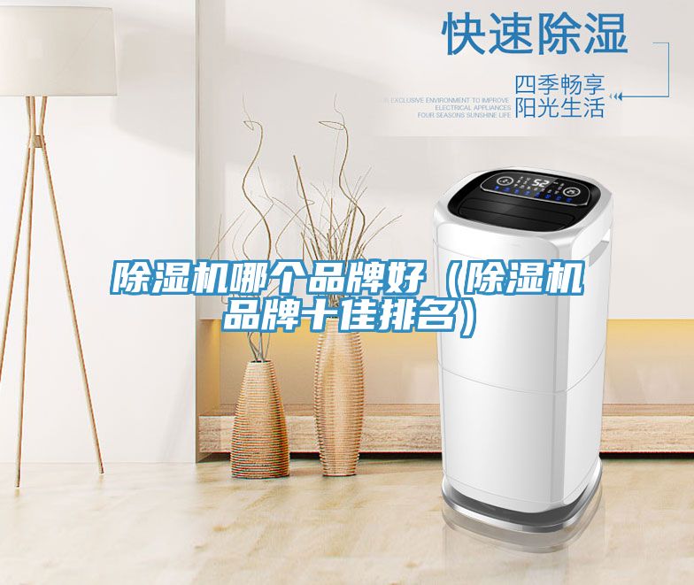 亚洲欧美一级特黄大片 除湿机哪个品牌好（除湿机品牌十佳排名）