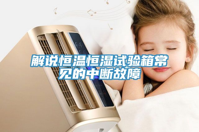 亚洲欧美一级特黄大片 解说恒温恒湿试验箱常见的中断故障