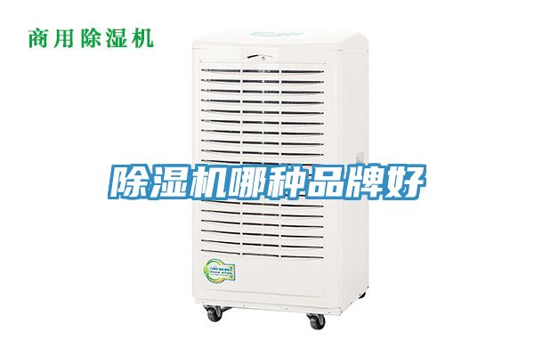 亚洲人成综合第一网站 除湿机哪种品牌好