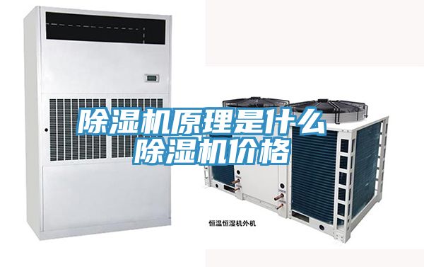 亚洲乱码一区二区三区 除湿机原理是什么 除湿机价格