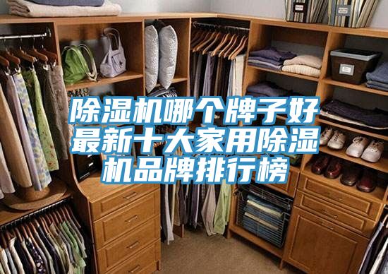 亚洲乱码一区二区三区 除湿机哪个牌子好最新十大家用除湿机品牌排行榜