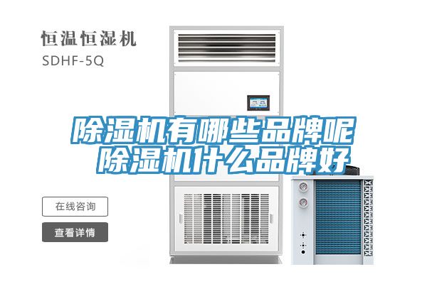 亚洲乱码一区二区三区 除湿机有哪些品牌呢 除湿机什么品牌好