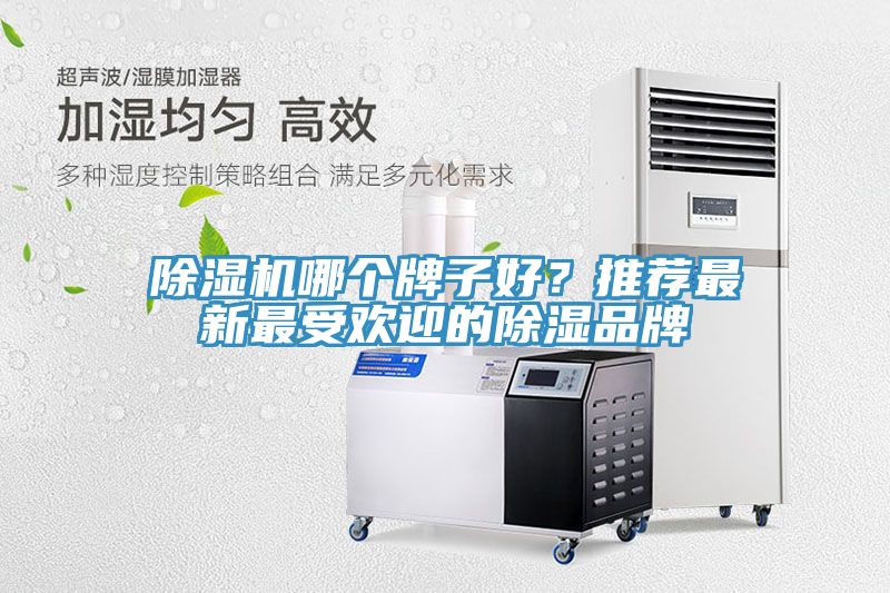 亚洲人成综合第一网站 除湿机哪个牌子好？推荐最新最受欢迎的除湿品牌