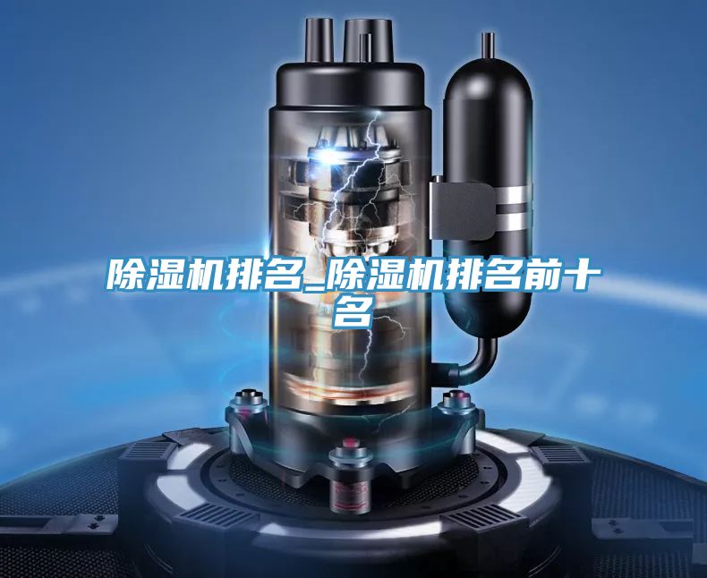 亚洲人成综合第一网站 除湿机排名_除湿机排名前十名