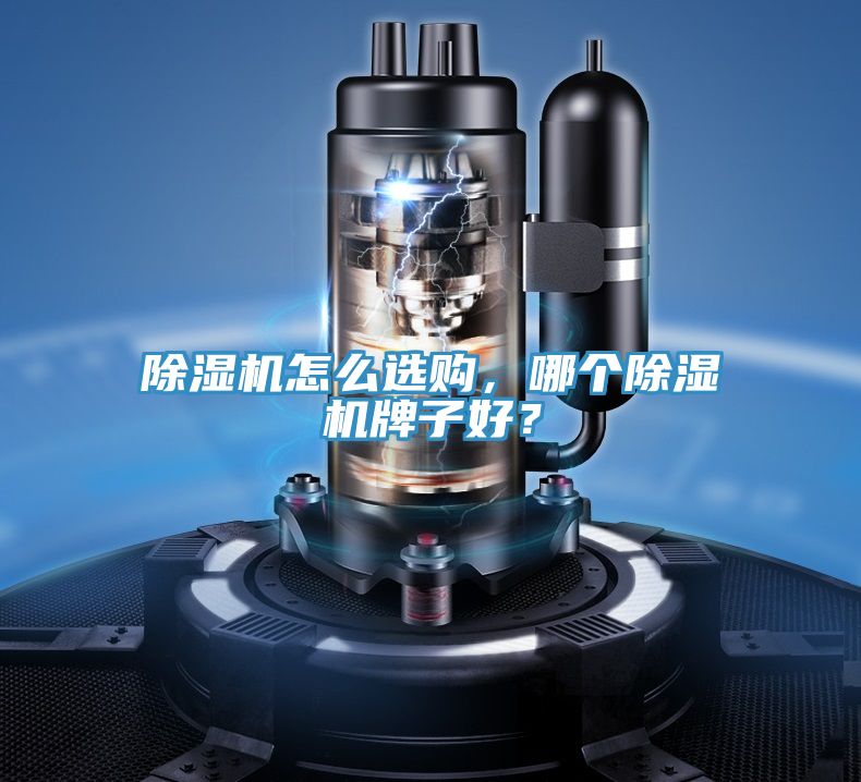 亚洲欧美一级特黄大片 除湿机怎么选购，哪个除湿机牌子好？