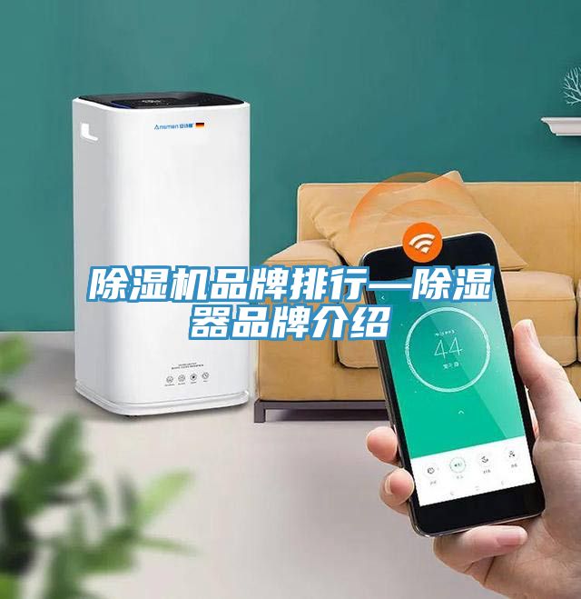 亚洲欧美一级特黄大片 除湿机品牌排行—除湿器品牌介绍
