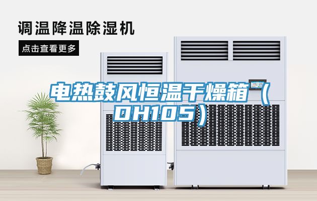 亚洲乱码一区二区三区 电热鼓风恒温干燥箱（DH105）