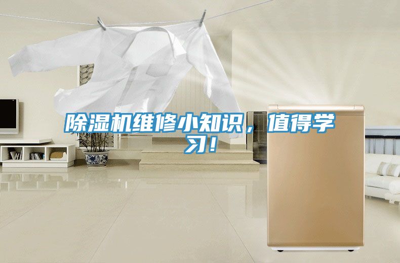 亚洲欧美一级特黄大片 除湿机维修小知识，值得学习！