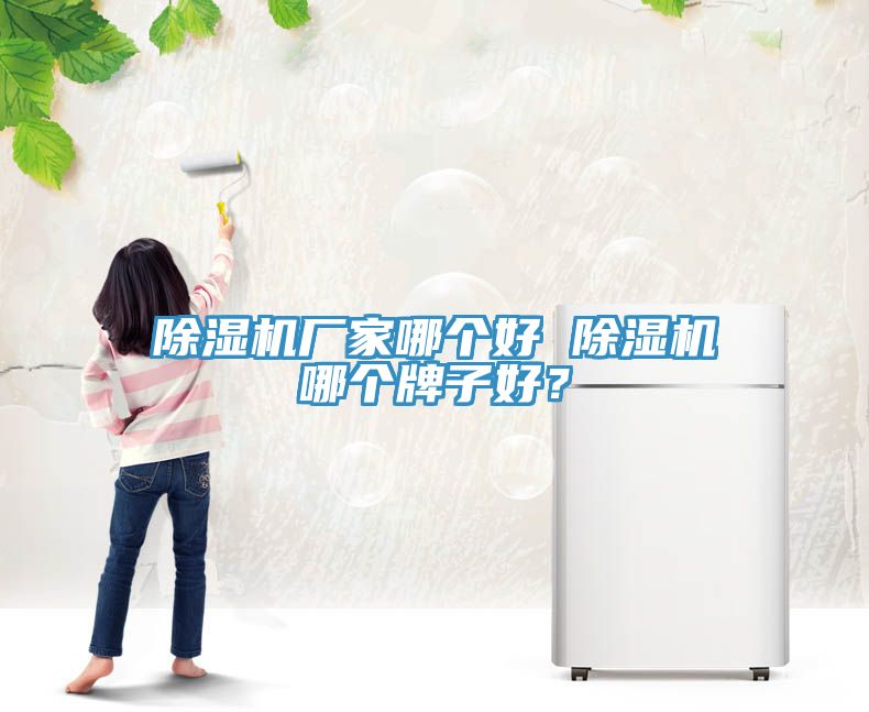 亚洲欧美一级特黄大片 除湿机厂家哪个好 除湿机哪个牌子好？