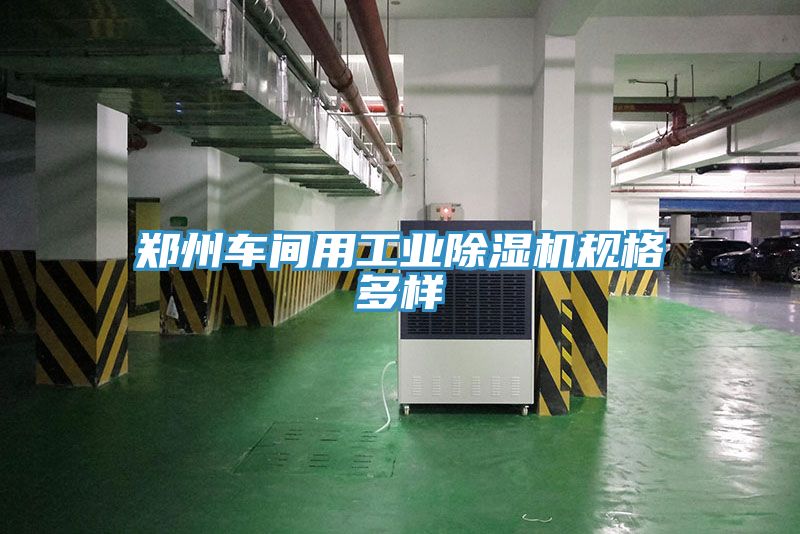 亚洲人成综合第一网站 郑州车间用工业除湿机规格多样