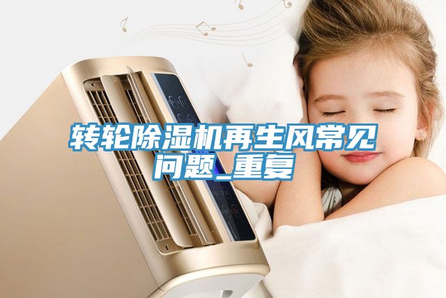 亚洲人成综合第一网站 转轮除湿机再生风常见问题_重复