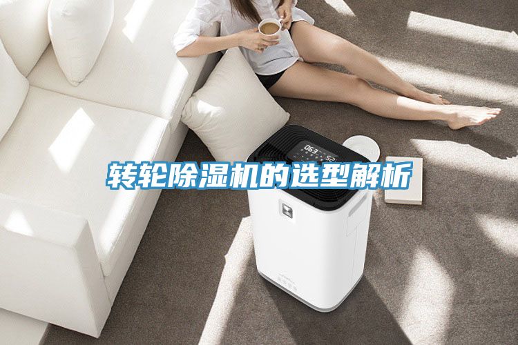 亚洲欧美一级特黄大片 转轮除湿机的选型解析