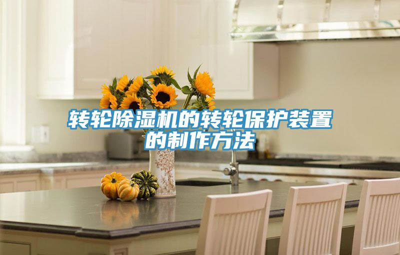 亚洲人成综合第一网站 转轮除湿机的转轮保护装置的制作方法