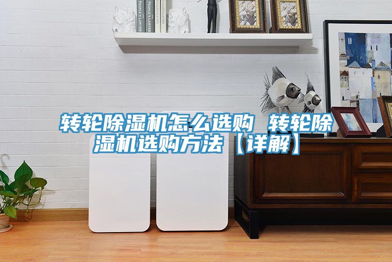 亚洲欧美一级特黄大片 转轮除湿机怎么选购 转轮除湿机选购方法【详解】