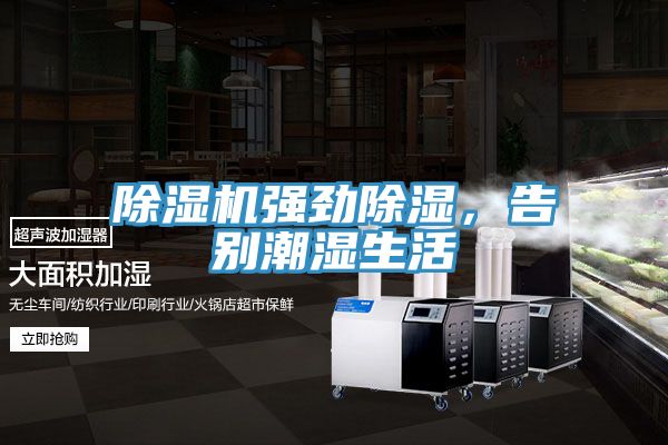 亚洲人成综合第一网站 除湿机强劲除湿，告别潮湿生活