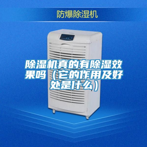 亚洲人成综合第一网站 除湿机真的有除湿效果吗（它的作用及好处是什么）
