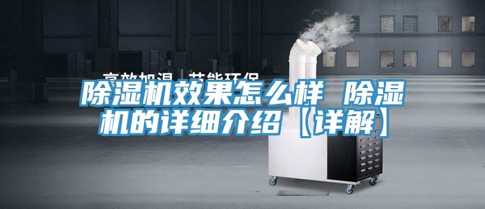 亚洲人成综合第一网站 除湿机效果怎么样 除湿机的详细介绍【详解】